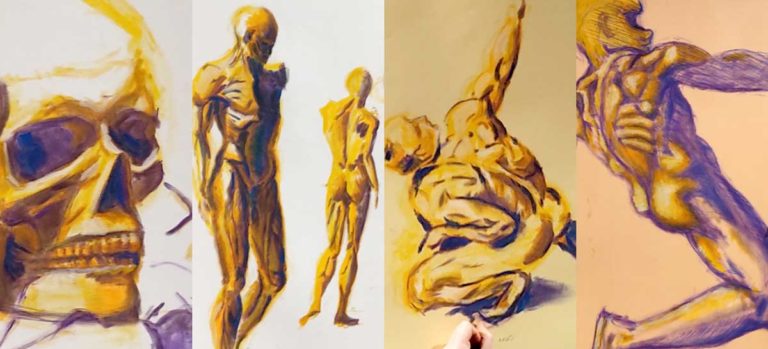 Modèle vivant - Anatomie