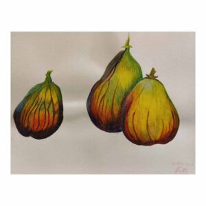 Stage de dessin et peinture, multi techniques