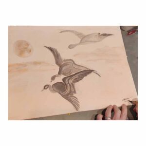 Stage de dessin et peinture, multi techniques