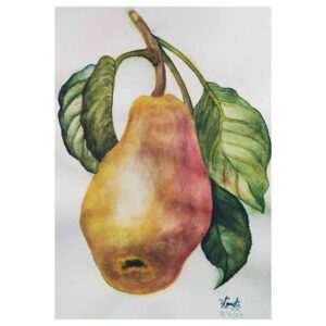 Stage de dessin et peinture, multi techniques