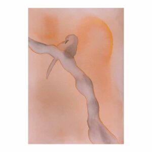 Stage de dessin et peinture, multi techniques